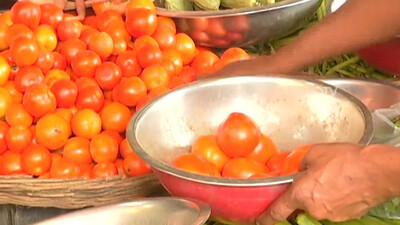 Tomato price