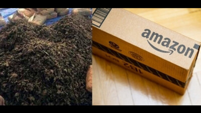 Ganja Was Being Sold On Amazon Under Guise Of Stevia Dry Leaves