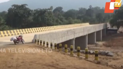 Remote Odisha Village Gets Bridge After Minor Siblings Shoot Off Letter To PM Modi, CM Naveen