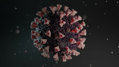 India's Omicron Tally Rises To 21 With 17 More Testing Positive For COVID Variant; Delhi, Rajasthan 