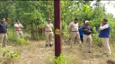 Female Elephant Electrocuted To Death In Odisha's Keonjhar