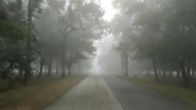  Heavy fog conditions