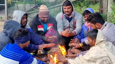 Cold Wave Grips Odisha, Daringbadi Coldest At 6.5 Degrees Cold Wave Grips Odisha, Daringbadi Coldest At 6.5 Degrees
