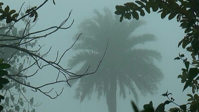 Odisha Winter