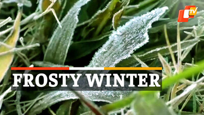 Frosty Winter