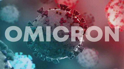 No 'Delmicron' Virus Yet, Time To Fight Omicron: Health Experts