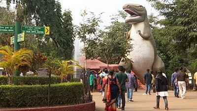 Nandankanan Internship