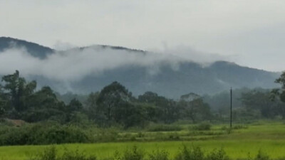 Similipal National Park