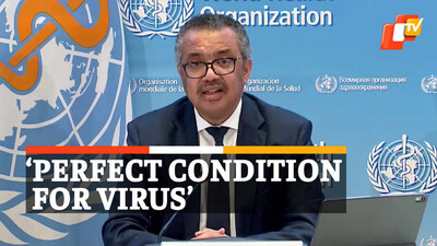 &lsquo;Perfect Condition For Virus&rsquo;