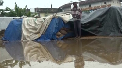 Unseasonal downpour triggered by western disturbance has hit farmers in Western Odisha hard