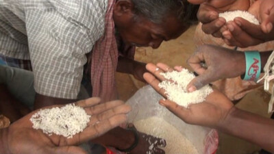 Plastic Rice