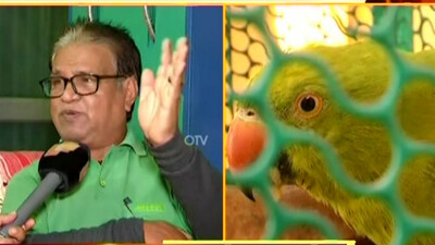 Return Parrot ‘Coco’ To  Pet-Mother: Educationists Urge Odisha CM Naveen