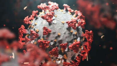 Covid Pandemic May End In 2022: WHO