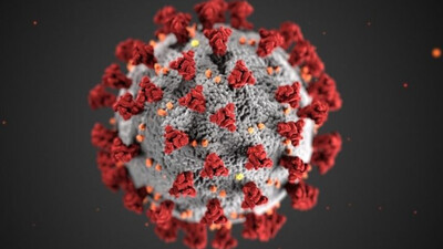 Omicron Infected Have Significant Immune Response, Can Neutralise Omicron, Delta: ICMR