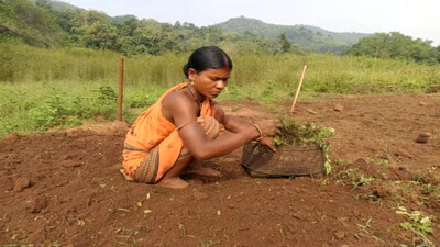 Panchayat Polls in Malkangiri