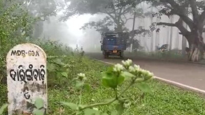 Odisha Feels The Chill Again As Mercury Dips, Daringbadi Shivers At 6.5°C 