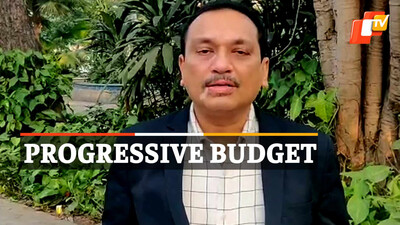 Economist Charudutta Panigrahi Economist Charudutta Panigrahi