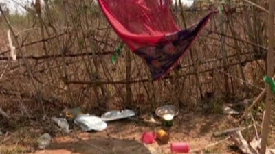 Horrendous! 5 Kids 'Sacrifice' Puppy, Drink Blood In Odisha’s Bolangir