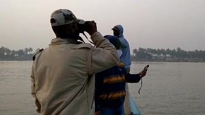 Fishing cat census to be conducted in Odisha's Chilika lake area