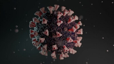 Global Covid Caseload Tops 459.6 Mn