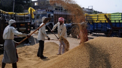 Paddy Procurement