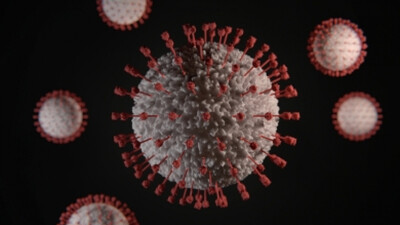 New COVID-19 Omicron sub-variant BA.2.75 detected in countries like India: WHO