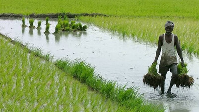 Farmers resent omissions in KALIA beneficiaries’ list in Odisha