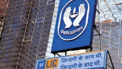 LIC IPO Day 4: NII segment fully subscribed; overall issue oversubscribed