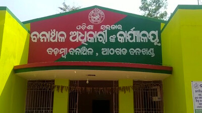 Special team formed to probe Athagarh jumbo death, skeleton recovery