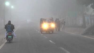IMD's latest forecast on cold conditions in Indian states