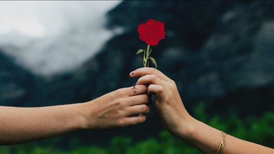 Valentines Day: Special courses to make a girl/boy fall in love! Creative ad goes viral