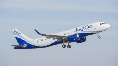 Indigo 