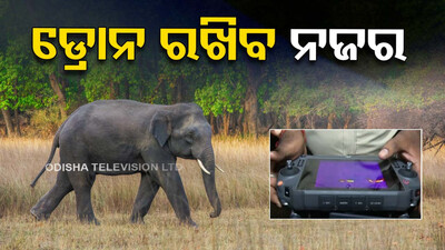 ଜଙ୍ଗଲରେ ବୁଲିବ ଡ୍ରୋନ, ଗଣିବ ହାତୀ
