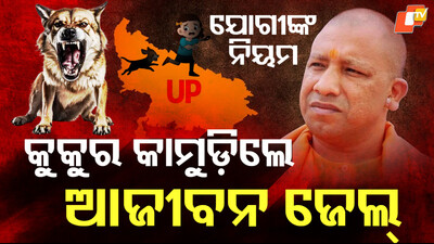 Yogi Govt’s New Law Yogi Govt’s New Law