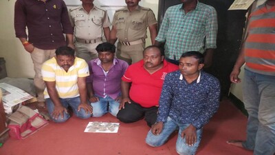 Brown sugar arrest