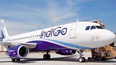 IndiGo