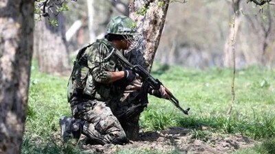 12 Militants Killed In 72 Hours In Kashmir: DGP
