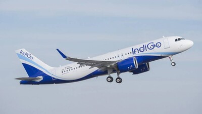 Indigo