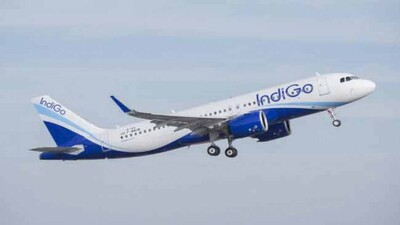 Indigo