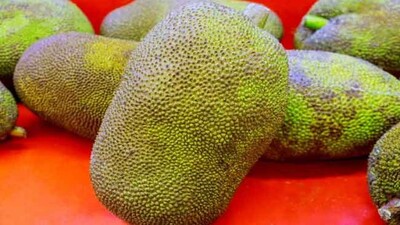 Jackfruit