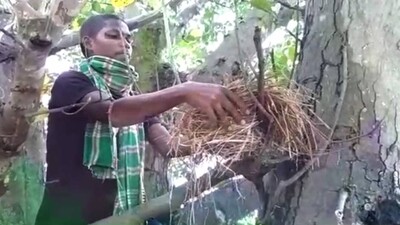 Birds Get Artificial Nests To Live In This Odisha Village