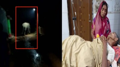 Khurda-elephant-attack