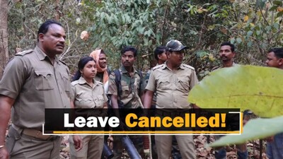 No Leave Until Forest Fires Are Controlled: Odisha To Forest Officials