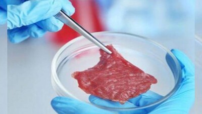 Lab-Grown-Meat