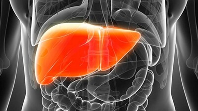 Liver1
