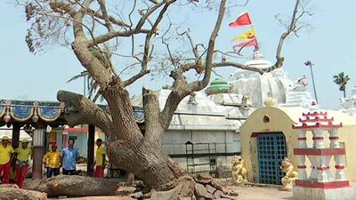 Lokanath-temple