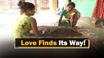 Human-Animal Bonding Redefined By Odisha Woman’s Motherly Love For Wild Boar