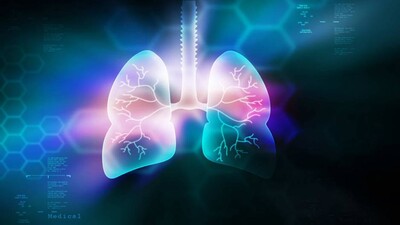 Lungs..