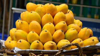 Chemically ripened mangoes pose cancer threat