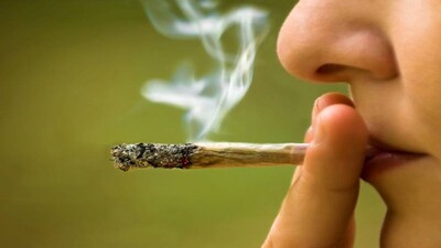 Rs 88 lakh for weed smoking: Germany Company offers whopping salary for odd job